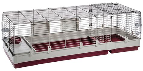 Guinea Pig Cage Size Guide - The Best Homes For Guinea Pigs