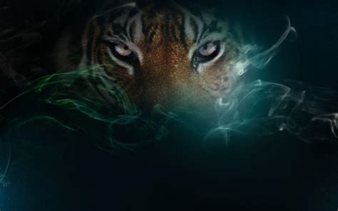 Black Tiger Wallpapers - Wallpaper Cave