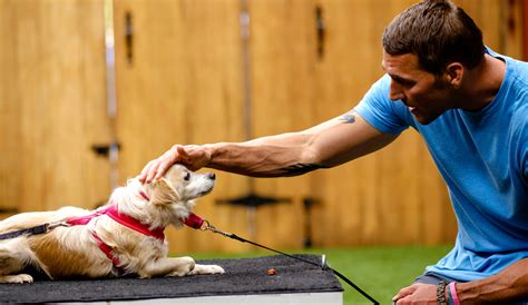 Training Tips - Brandon McMillan's Canine Minded