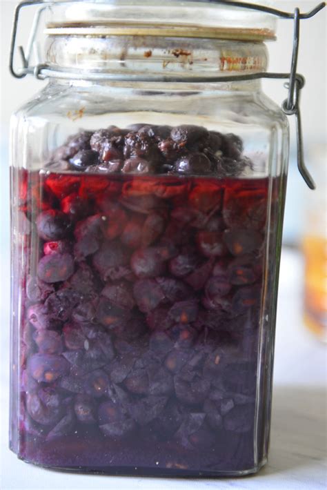 How To Make Homemade Grape Wine - Edington Paince