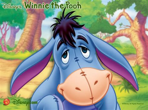 Eeyore Winnie the Pooh ~ Popular Cartoon