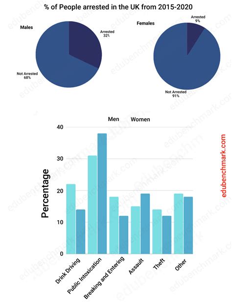 IELTS Pie Chart and Bar Graph for Writing Task 1 Sample