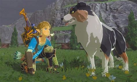 Breath of the Wild Speedrun se trata de alimentar a los perros lo más rápido que puedas