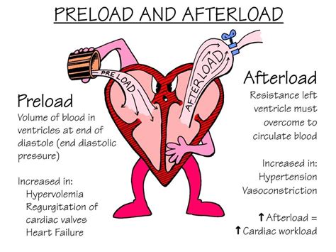 Nursing Tips: Preload vs Afterload - NCLEX Quiz