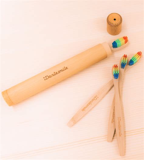 Bamboo travel case for toothbrush Dantesmile ⋆ alternative to plastic case