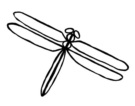 Easy Dragonfly Drawing: (4 Steps)! - The Graphics Fairy