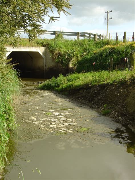 File:Water pollution in the Wairarapa.JPG - Wikipedia