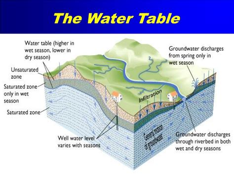 PPT - Groundwater and the Hydrologic Cycle PowerPoint Presentation, free download - ID:3599383