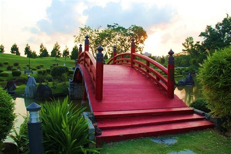 50 Dreamy and Delightful Garden Bridge Ideas