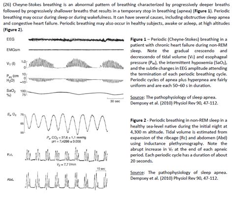 (26) Cheyne-Stokes breathing is an abnormal pattern | Chegg.com