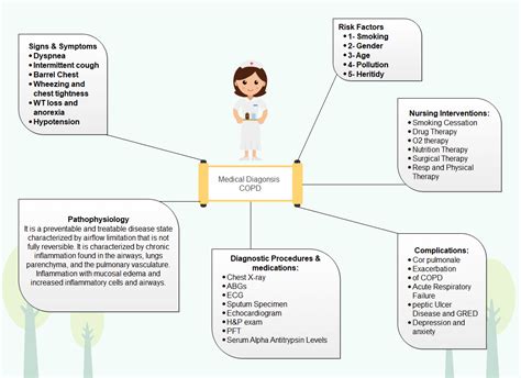 Free Concept Map Templates You Can Use Now | Edraw