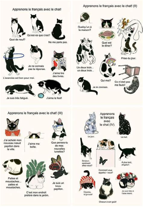 Four French Language Cat prints Let's learn French with | Etsy | Learn french, Cat print, Cat ...