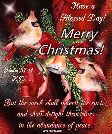 Have A Blessed Day Merry Christmas Pictures, Photos, and Images for Facebook, Tumblr, Pinterest ...