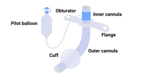 Tracheostomy Tubes: Types, Indications, and Risks (2023)