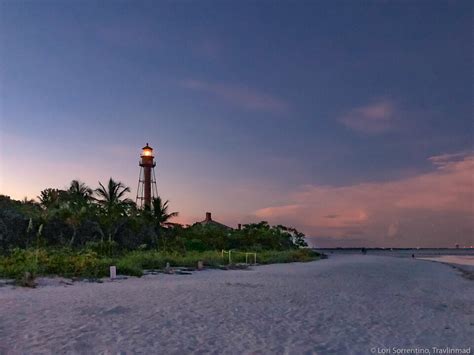 The Famous Beaches of Sanibel: A Local’s Guide to the Best Island Beaches — Travlinmad Slow ...