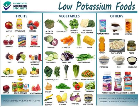 List of Low Potassium Foods Printable - WOW.com - Image Results | Food for kidney health, Kidney ...