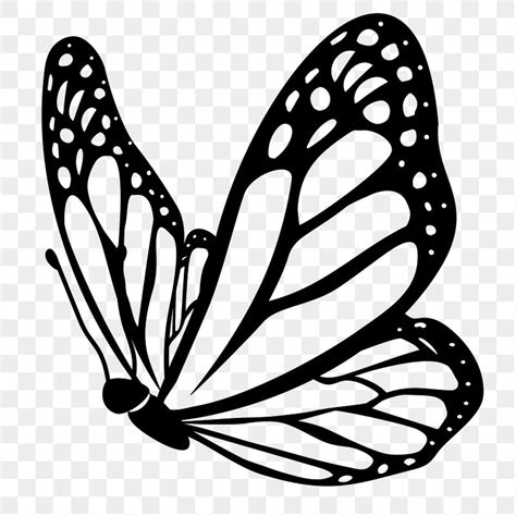 butterfly outline - Clip Art Library