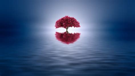 nature, Landscape, Trees, Water, Reflection, Digital Art, Minimalism Wallpapers HD / Desktop and ...