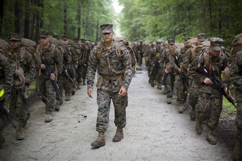 Marines will now wear woodland green camouflage uniforms all year