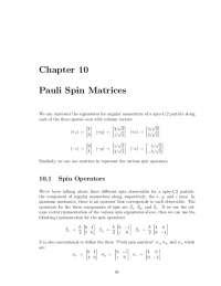 Chapter 10 Pauli Spin Matrices | Exercises Quantum Mechanics | Docsity