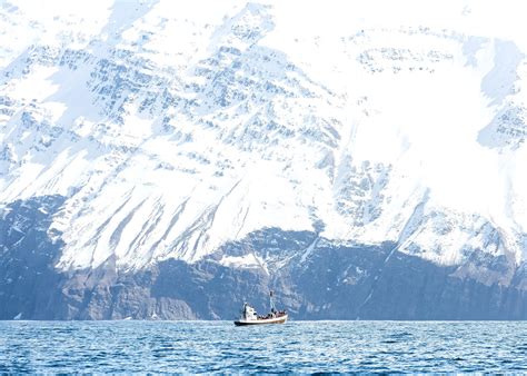 Free picture: sea, ship, snow, water, winter, adventure, boat, cold