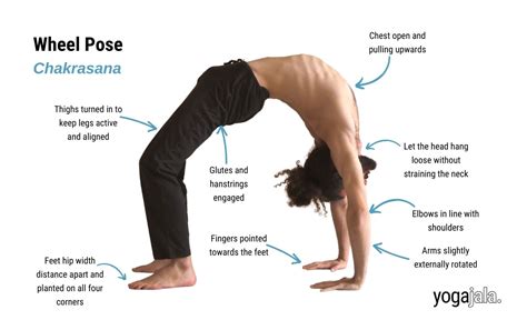 Wheel Pose Chakrasana With Images Yoga Poses Yoga Postures – NBKomputer