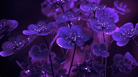 Dark Purple Flowers At Night Wallpaper On Mobile Background, Pictures Purple, Purple, Purple ...