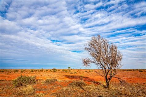 Australian Outback Landscape Stock Photo - Image of remote, clouds: 157100174