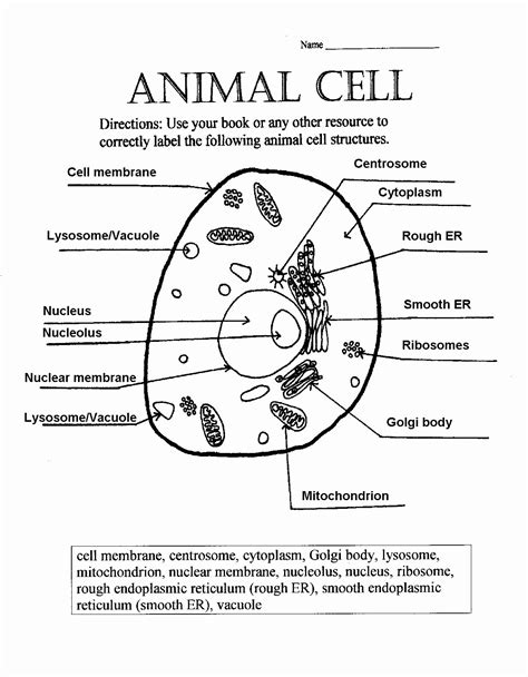 Plant Cell Labelling Worksheets