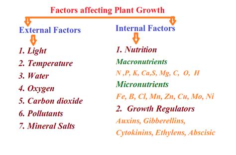 Factors affecting Plant Growth: External Factors and Internal Factors