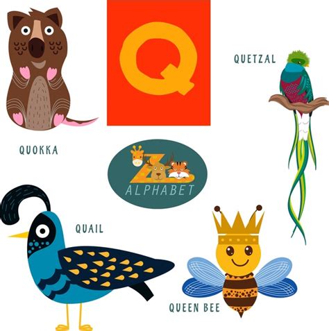 Q letter education with cute animals illustration Vectors graphic art designs in editable .ai ...