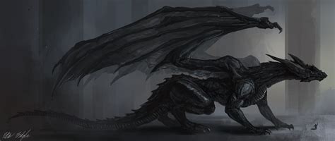 Black Dragon Tempest by PeterPrime on DeviantArt