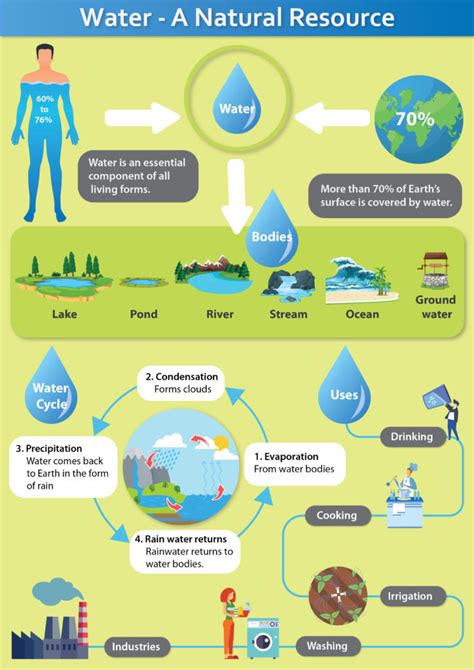 What Is Pollution: Causes, Effects, And Control Of Water Pollution