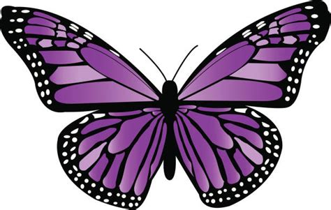 1,100+ Purple Butterfly Clipart Stock Illustrations, Royalty-Free Vector Graphics & Clip Art ...