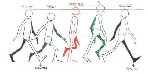 Two Kinds of Walk Cycles - IdeaRocket