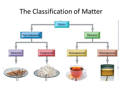 Classification Of Matter Pogil - Classification Of Matter Worksheet Pogil Answer Key | Free ...