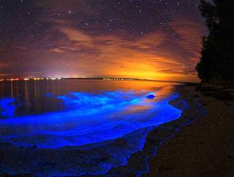 Pristine Beaches and Glowing Water in Jervis Bay, Australia | Places To See In Your Lifetime