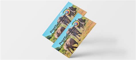 How to make Custom Glossy Business Cards? – PrintSafari Blog – Fresh Insights on Digital Printing