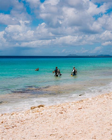 The Complete Guide to Scuba Diving in Bonaire (Caribbean)