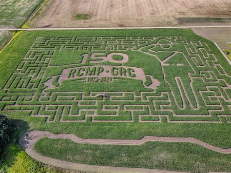 Maze | Edmonton's original corn maze