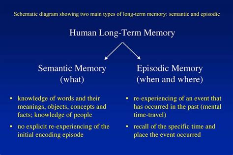 Image result for semantic memory | Ap psychology, Episodic memory, Words