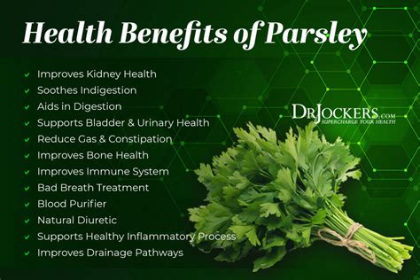 5 Amazing Health Benefits of Parsley and Recipes - DrJockers.com