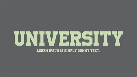 University Font : Download Free for Desktop & Webfont