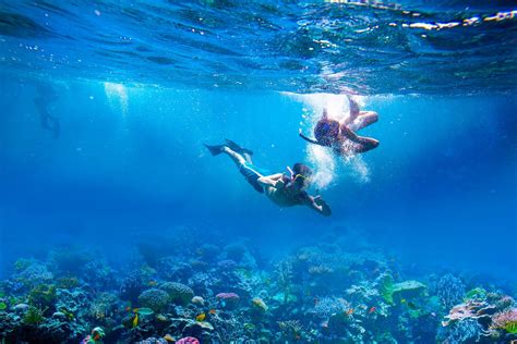 Snorkeling Tips For Beginners From Experienced Guides | Sandals