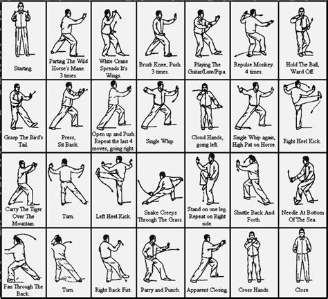 Taijiquan Standard 15 Postures – Yang Family – Illustration - tai chi 24 form pdf | Tai chi for ...