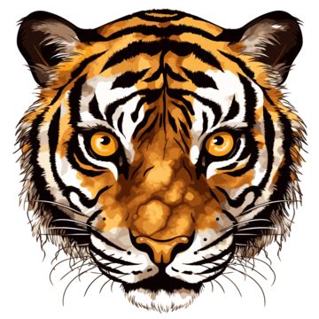 Tiger Eyes Clip Art