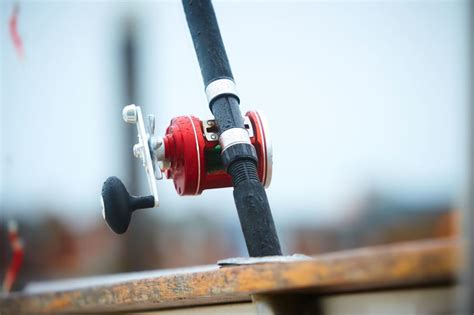 5 Best Saltwater Spinning Reels - Red Fish Tour