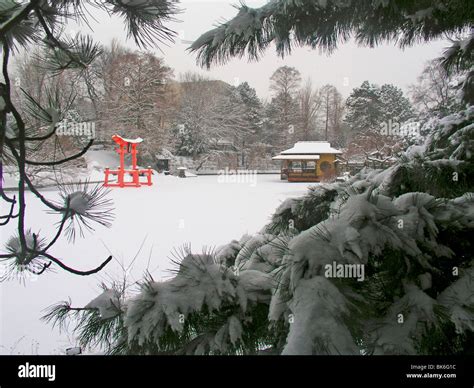 Brooklyn botanic garden in winter Stock Photo - Alamy