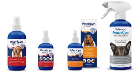 How Do You Treat Yeast Infection In Dogs