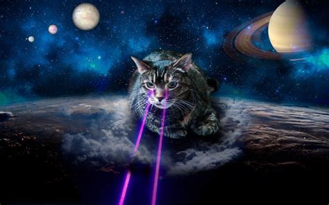 Cats in Space Wallpapers - Top Free Cats in Space Backgrounds - WallpaperAccess